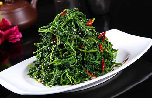 烹调知识｜路边的野菜，你不要随便采